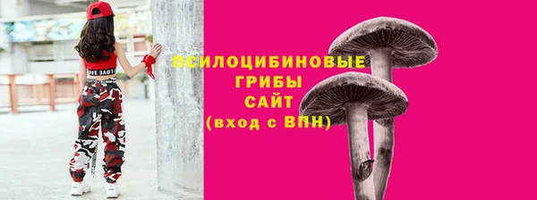 spice Балабаново