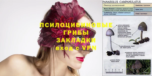 spice Балабаново