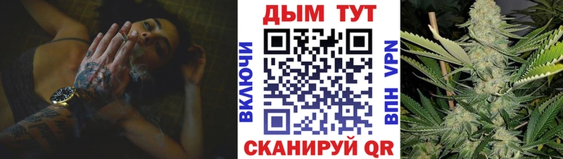 Бошки Шишки SATIVA & INDICA  hydra маркетплейс  Горно-Алтайск  купить наркоту 